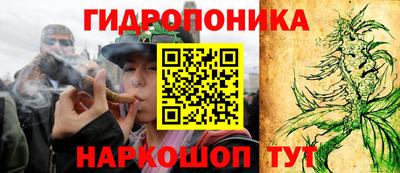 соль ск Можга