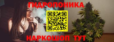 соль ск Можга